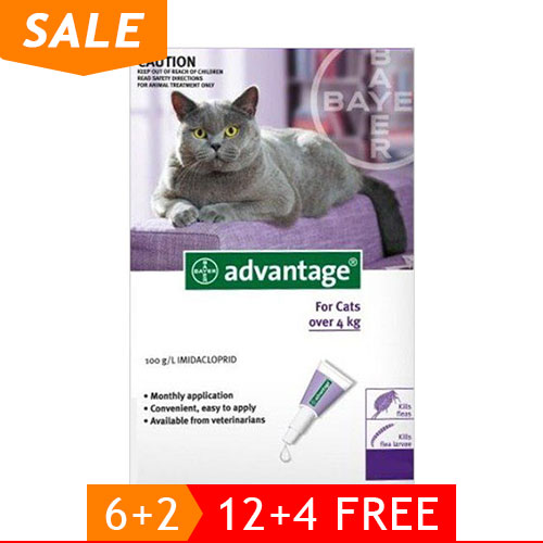 Advantage-Cats-over-9lbs-Purple-of_12102020_230012.jpg