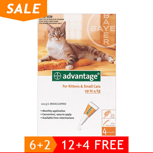 Advantage-Kittens-and-Small-Cats-1-9lbs-of_12102020_225946.jpg