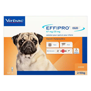 Effipro-duo-spot-on-small-dog_04012021_234111.jpg