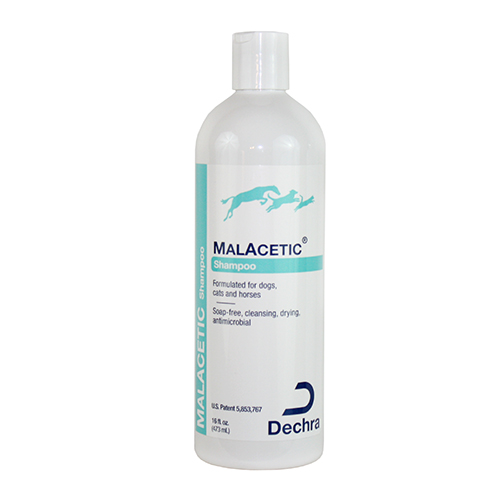 Malacetic Shampoo for Cats