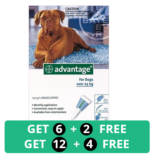 Advantage 2 extra large discount dog