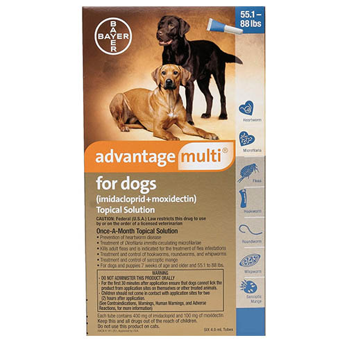 advocate medium dog aqua