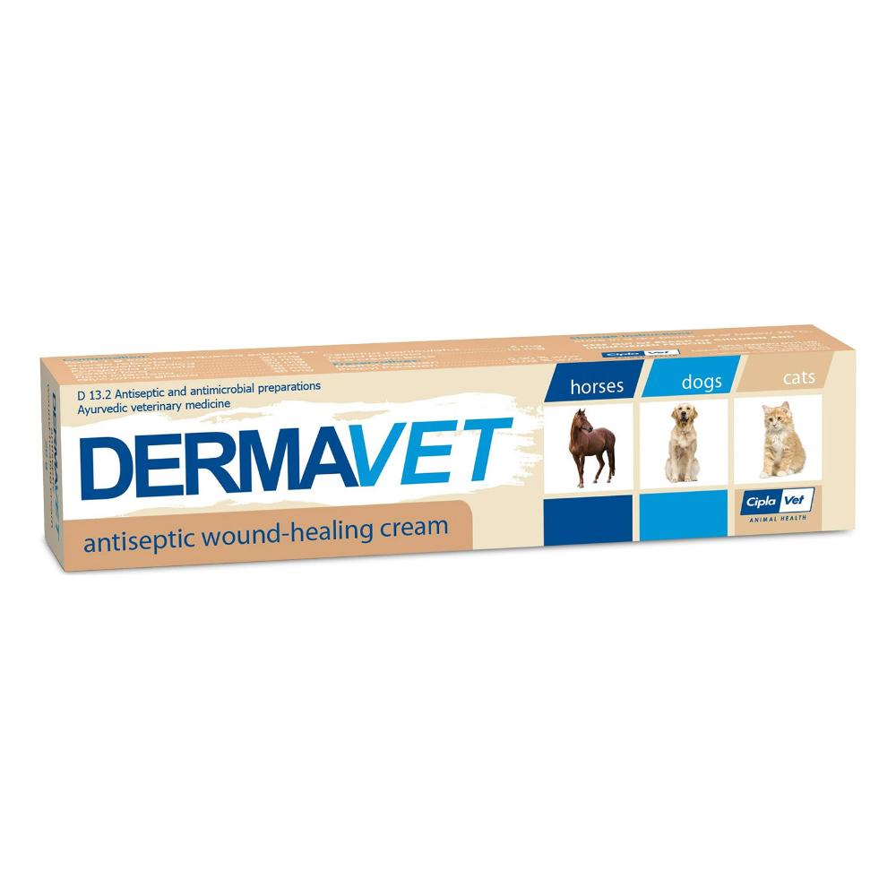 Aqueous cream for dogs sale