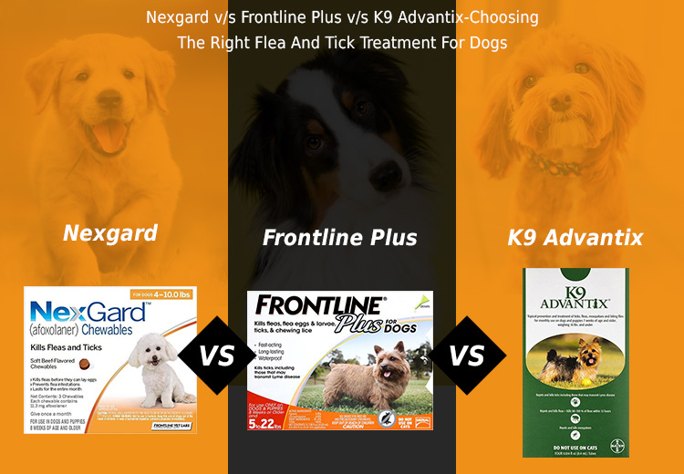 Nexgard V S Frontline Plus V S K9 Advantix