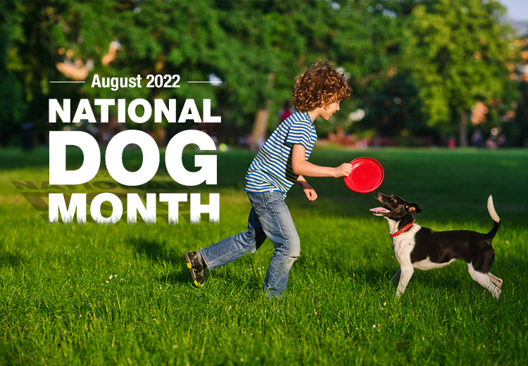 Top 6 Ways to Celebrate National Dog Month