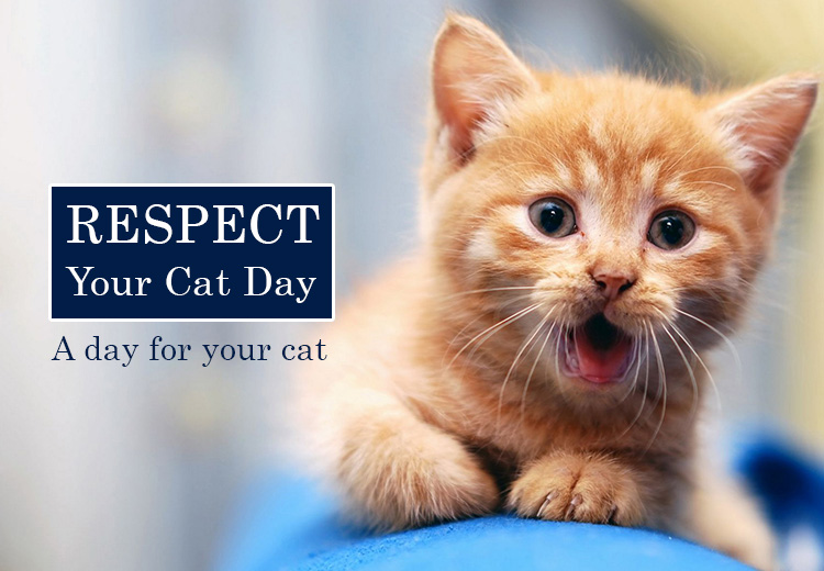 leading provider of pet supplies for dogs, cats and