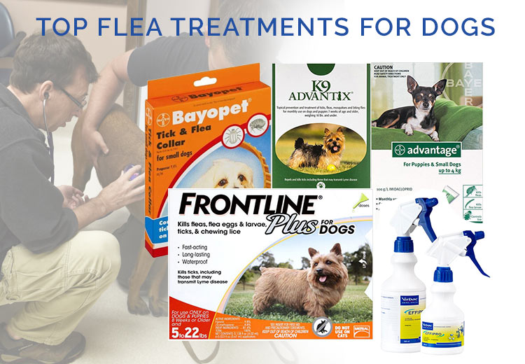 top flea and tick for dogs