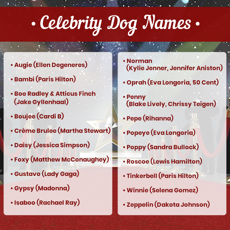 Celebrity Dog Names