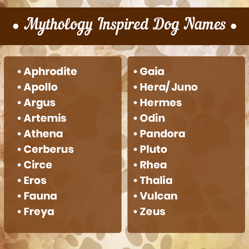 Mythology Inspired Dog Names 2023