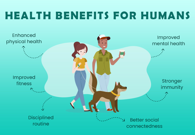 health-benefits-of-adopting-a-dog