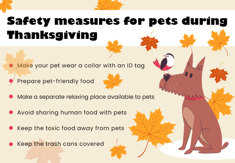 thanksgiving-safety-tips-for-pets