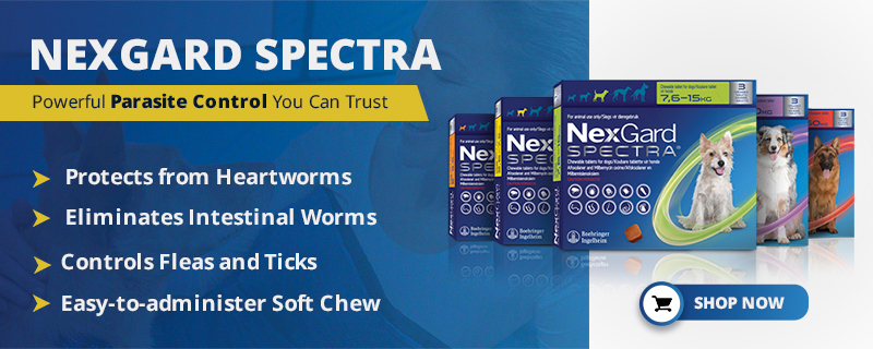 Nexgard Spectra Chewable Tablets for Dogs, Flea and Tick Protection