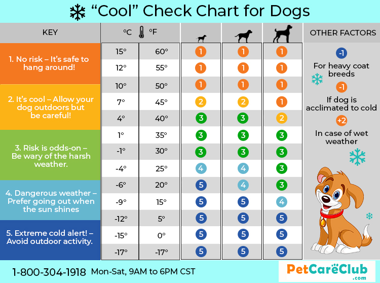 Cool check chart for dogs