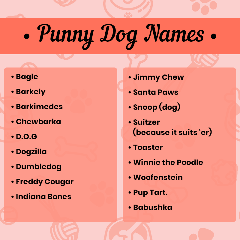 Punny Dog Names 2023