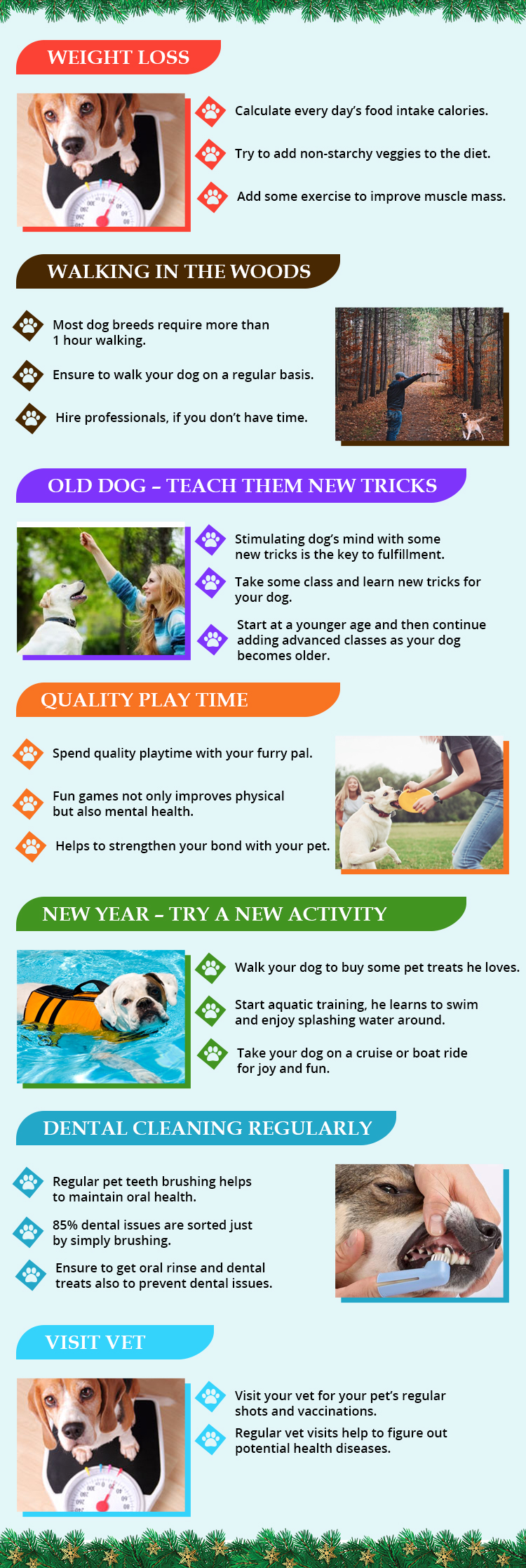 Happy New Year Resolutions for Your Happy Pet