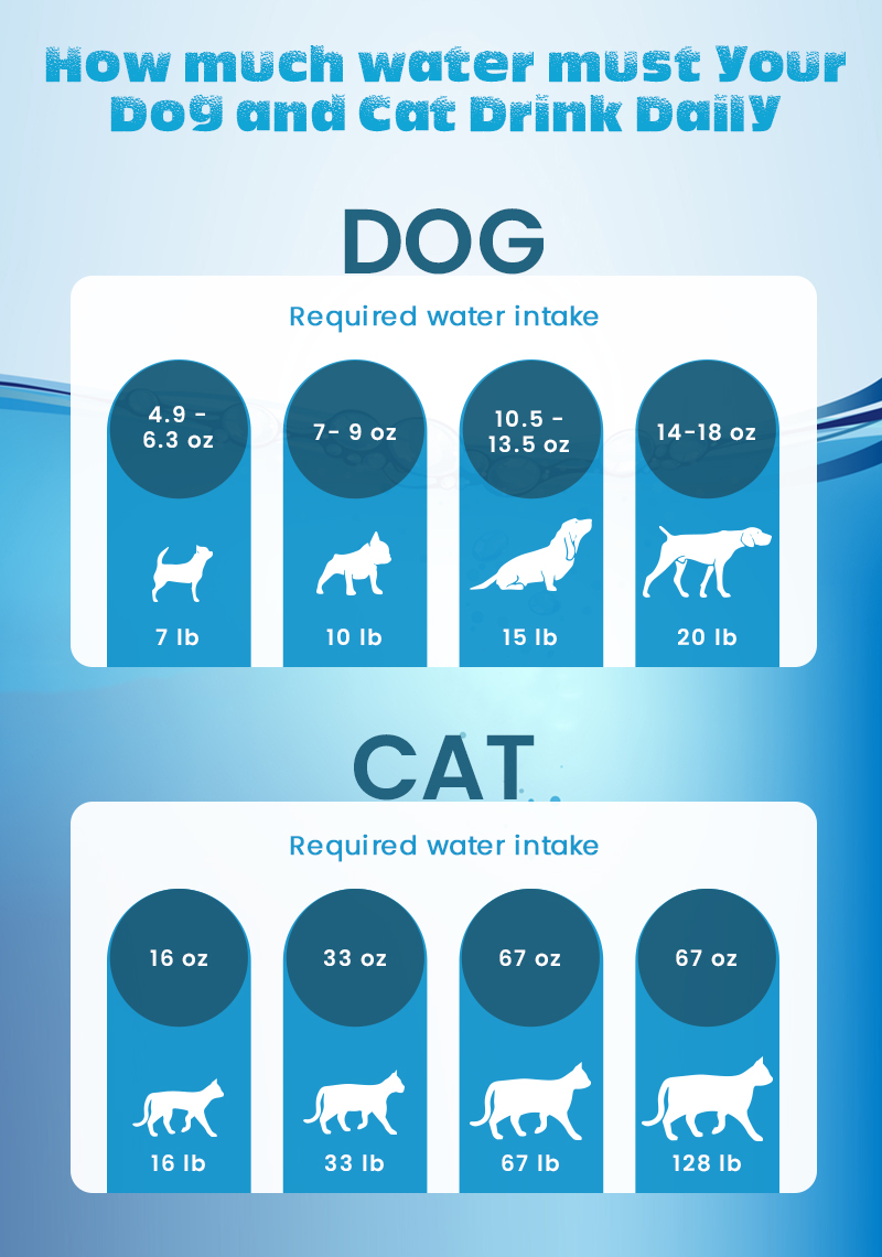 How much water does my pet need a day