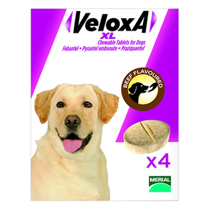  pets BudgetPetCare Veloxa Chewable Worming Tablets for Dogs, Veloxa for Dogs, Veloxa Chewable Dog Wormer, Veloxa Dog Wormer