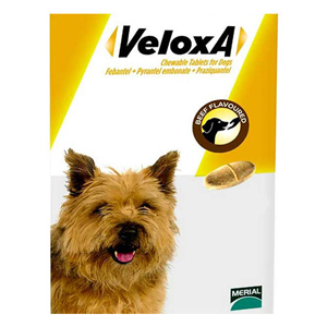  pets BudgetPetCare Veloxa Chewable Worming Tablets for Dogs, Veloxa for Dogs, Veloxa Chewable Dog Wormer, Veloxa Dog Wormer