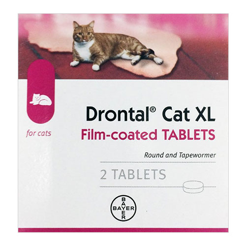 Drontal For Large Cats Up To 13lbs 4 Tablet