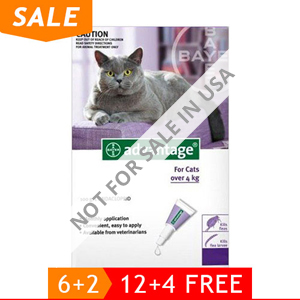 Advantage Cats Over 9lbs (Purple) 12 + 4 Free