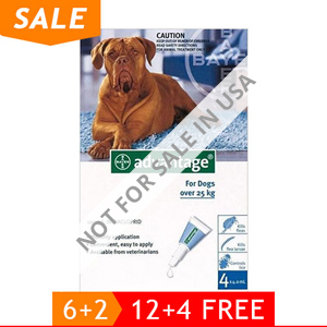 Advantage Extra Large Dogs Over 55 Lbs (Blue) 12 + 4 Free