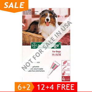 Advantage Large Dogs 21-55lbs (Red) 6 + 2 Free