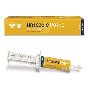 Antezole Paste Paste For Dogs & Cats 15 Ml