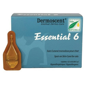 Essential 6 For Cats 4 Months