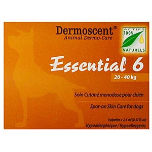 Essential 6 For Large Dogs 20-40kg 4 Months