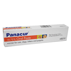 Panacur Paste Syringe For Cats/Dogs 2 Pack