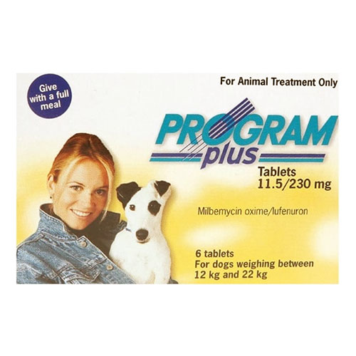 Program Plus Plus For Dogs 21 - 45 Lbs (Yellow) 6 Tablet