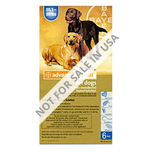 Advantage Multi (Advocate) Extra Large Dogs 55.1-88 Lbs (Blue) 12 Doses