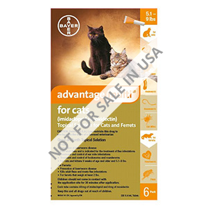 Advantage Multi (Advocate) Kittens & Small Cats Up To 10lbs (Orange) 3 Doses