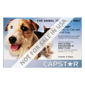 Capstar Blue For Cats And Small Dogs 2 - 25 Lbs 6 Tablet