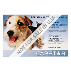 Capstar Blue For Cats And Small Dogs 2 - 25 Lbs 12 Tablet