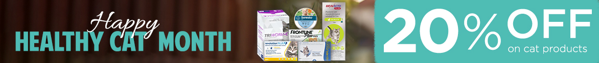 Cat Month Sale