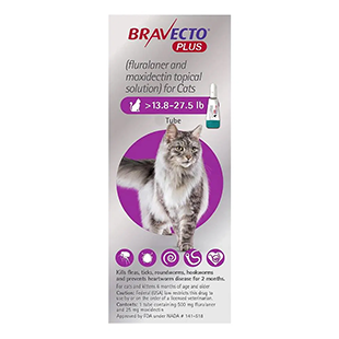 Bravecto Plus For
							   Large Cats (Purple) >13.8 - 27.5 lbs
							   