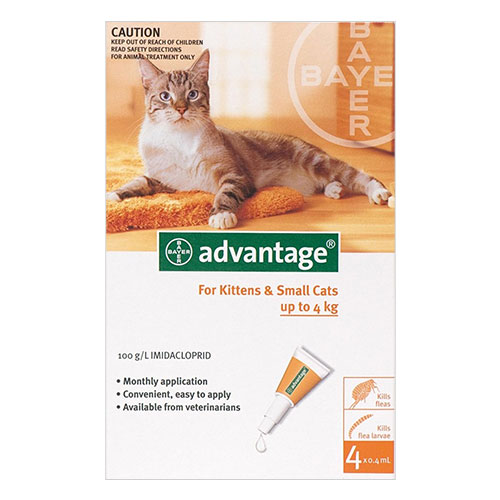 Is Advantage For Cats Safe For Kittens Is Advantage For Cats Safe For Kittens